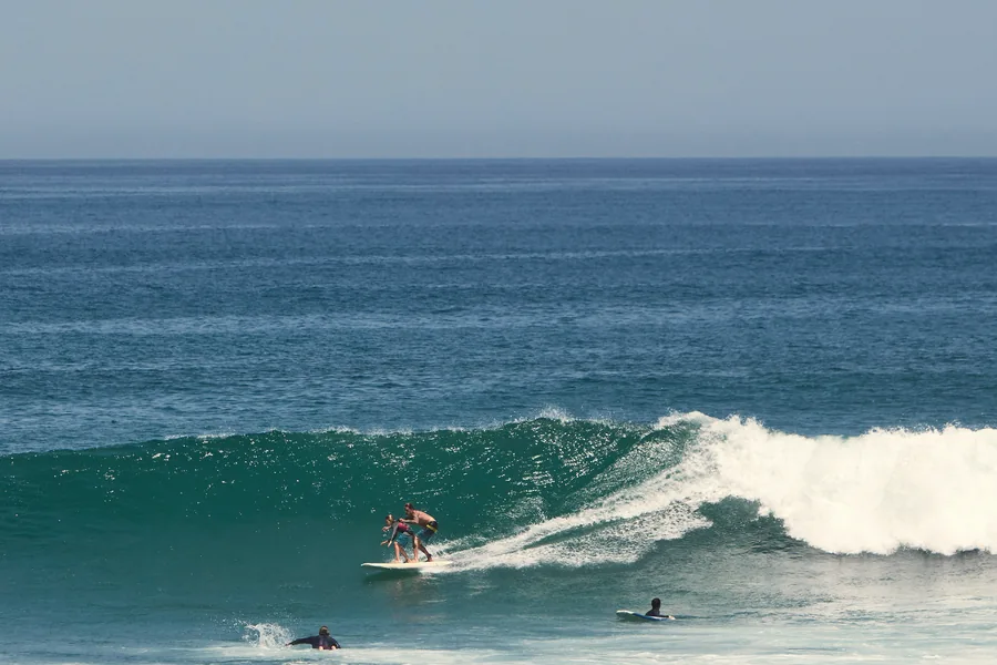 Two surfers sharing a wave on the same board
